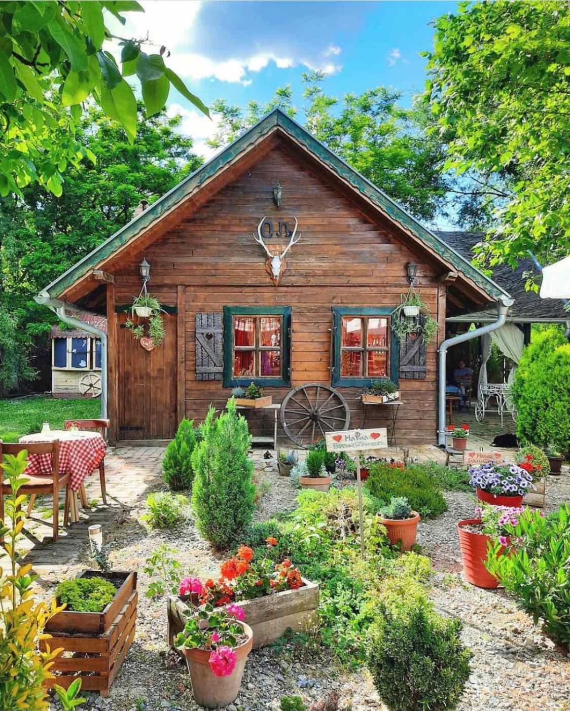 Wood Mood Apartman Tiganjica Stajicevo Exterior photo